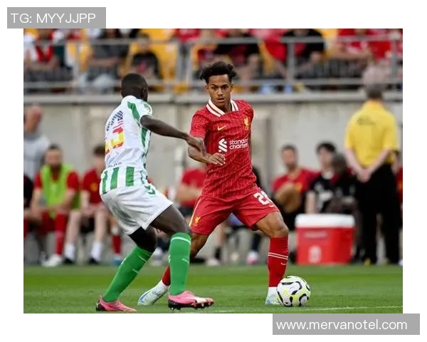 柏林赫塔主场大胜汉堡，积分榜再添3分