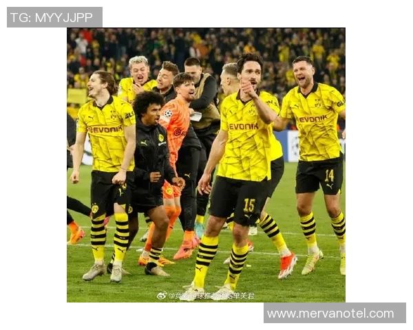 霍芬海姆客场小胜多特蒙德,反超对手登顶积分榜 霍芬海姆客场小胜多特蒙德,反超对手登顶积分榜